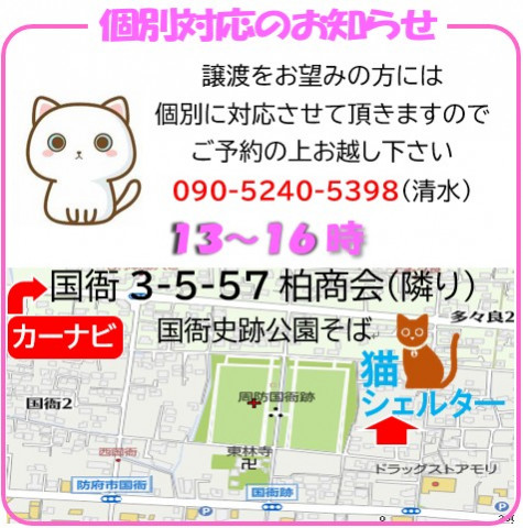 NPO法人　青い鳥動物愛護会