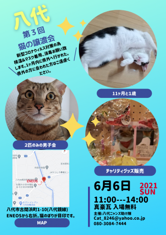 八代第3回猫の譲渡会 猫の譲渡会掲示板 ネコジルシ