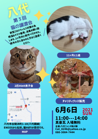 八代第3回猫の譲渡会