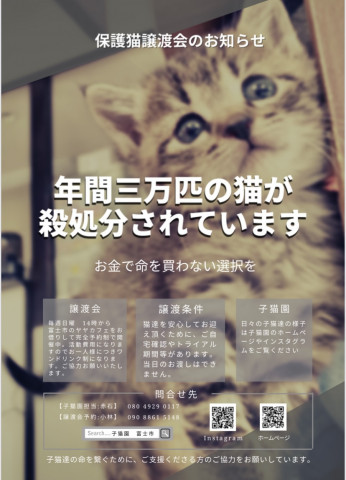 保護猫譲渡会