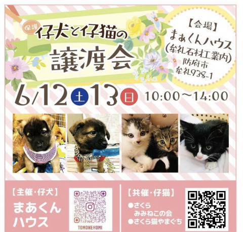 仔犬と仔猫の譲渡会