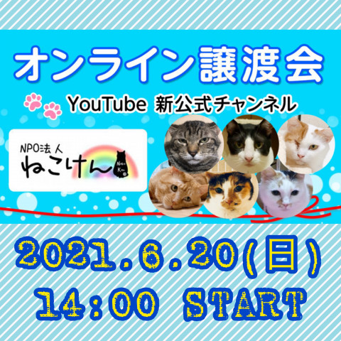 #6ねこけん★YouTube LIVE譲渡会！