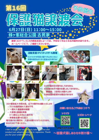 第１６回保護猫譲渡会in山口県