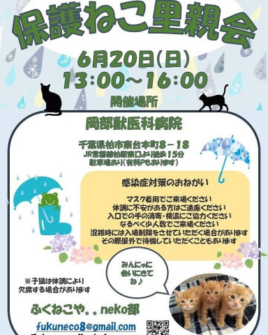 千葉県柏市開催/  ふくねこや。。