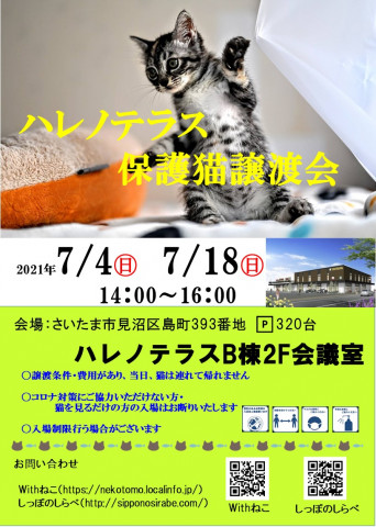 7/4(日）ハレノテラス保護猫譲渡会