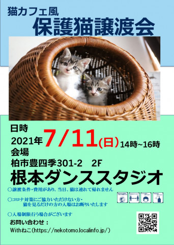 7/11(日)猫カフェ風保護猫譲渡会