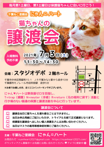 千葉ねこ里親会　にゃんハート主催　保護猫譲渡会