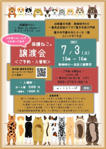 ほご猫の譲渡会　大阪藤井寺