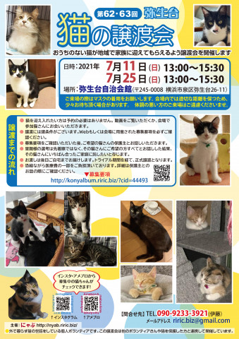 弥生台　猫の譲渡会