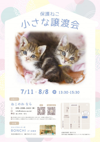 ねこのわなら 保護ねこ 小さな譲渡会