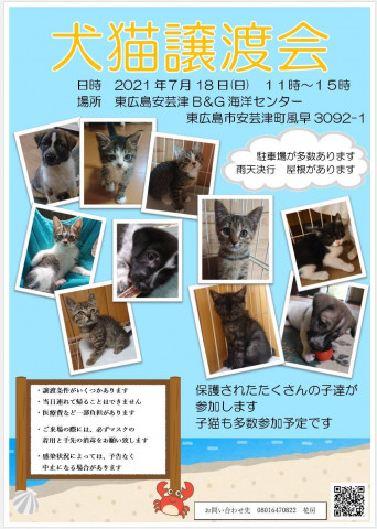 保護犬猫譲渡会