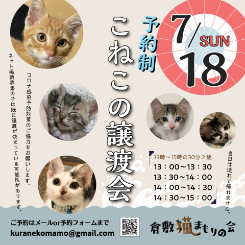 ほごっここねこの譲渡会（予約制）