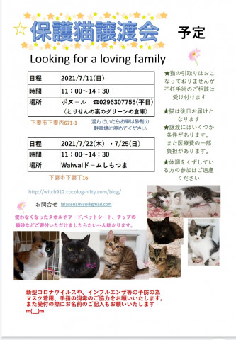 保護猫譲渡会　ボヌール7/11