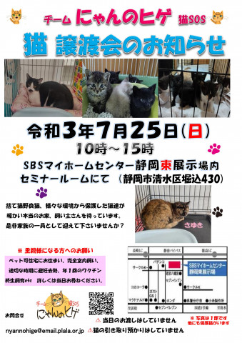 保護ニャンコの譲渡会ｂｙ静岡市清水区