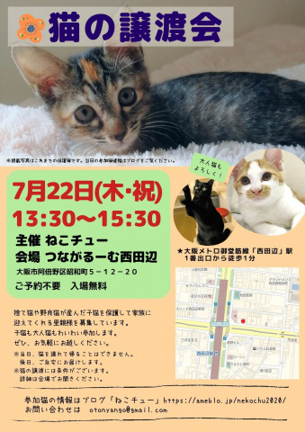 ねこチュー　第10回猫の譲渡会