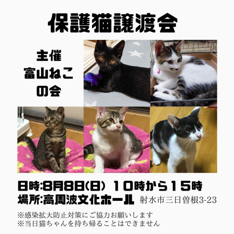 保護猫譲渡会