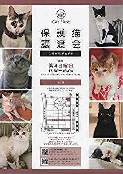 第30回　Cat First 譲渡会開催のお知らせ 