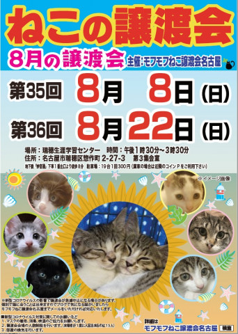 猫の譲渡会　in　名古屋市瑞穂生涯学習センター