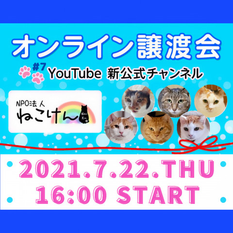 #7ねこけん★YouTubeLIVE譲渡会！