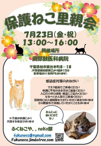 千葉県柏市開催/  ふくねこや。。