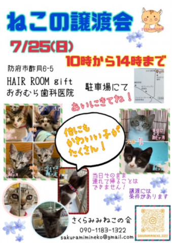 保護猫の譲渡会