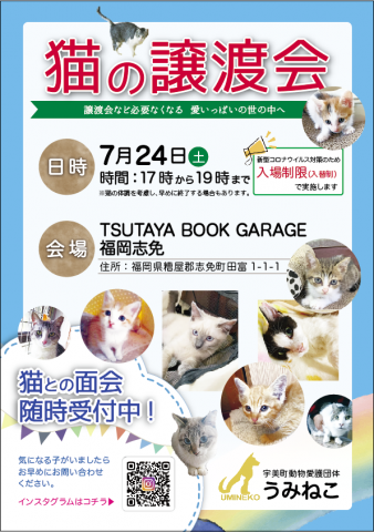 うみねこの「猫の譲渡会」