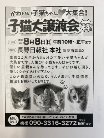 子猫ちゃん達の譲渡会