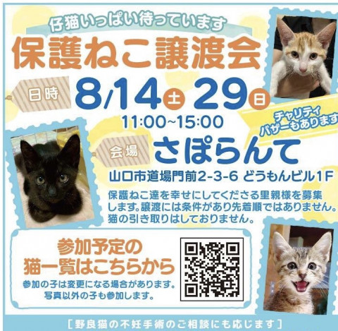 保護ねこ譲渡会inさぽらんて