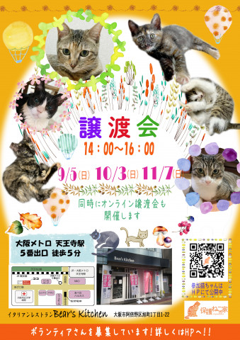 保護ねこの家譲渡会 in 天王寺