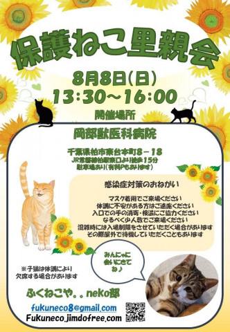 千葉県柏市開催/  ふくねこや。。