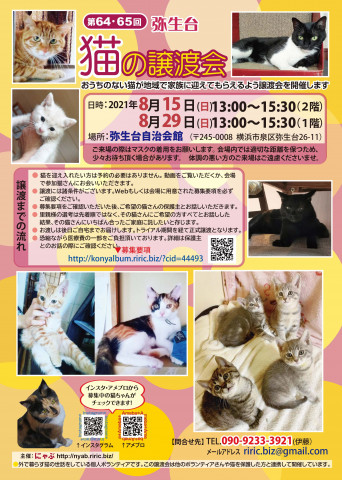 弥生台　猫の譲渡会