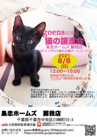 goens（ごえん）猫の譲渡会