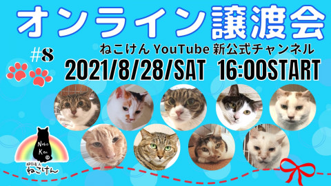 #8ねこけん★YouTubeLIVE譲渡会！