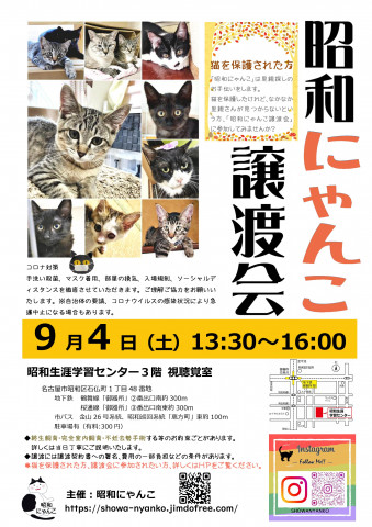 昭和にゃんこ譲渡会　in　名古屋市昭和区