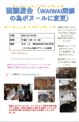 保護猫譲渡会　ボヌール8/15