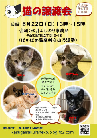 春日井さくら猫の会in守山