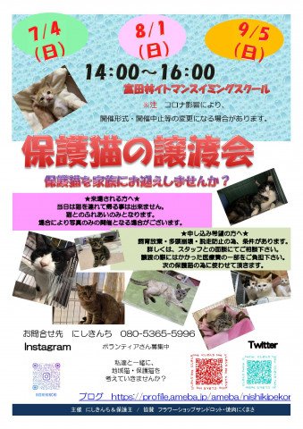 保護猫の譲渡会IN富田林イトマンスイミングスクール