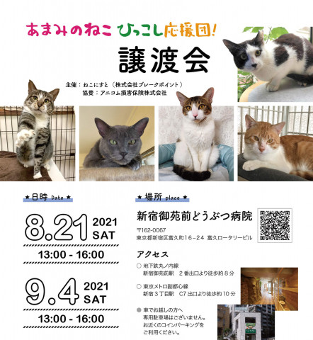 新宿開催！あまみのねこ引っ越し応援団！