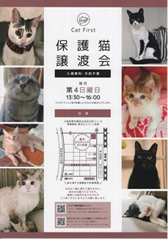 第31回　Cat First 里親会開催のお知らせ 