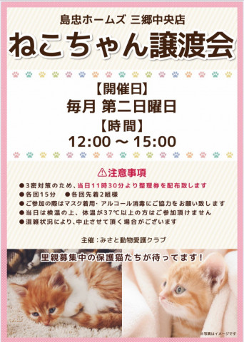 三郷市(⑉•ェ•⑉)保護猫 譲渡会