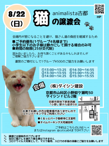 animalista古都　猫の譲渡会