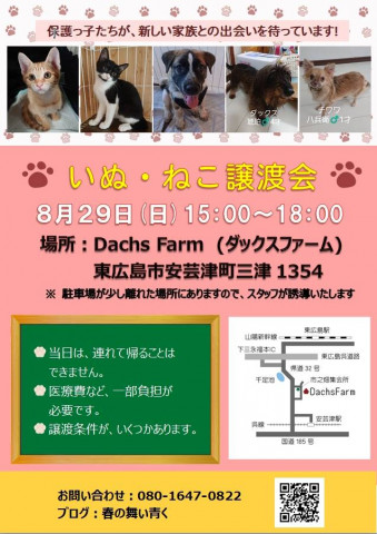 保護犬猫譲渡会