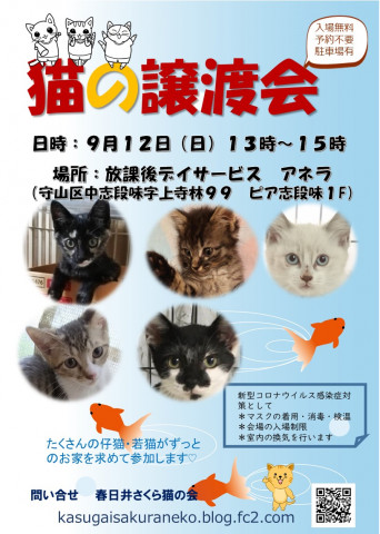 春日井さくら猫の会at アネラ