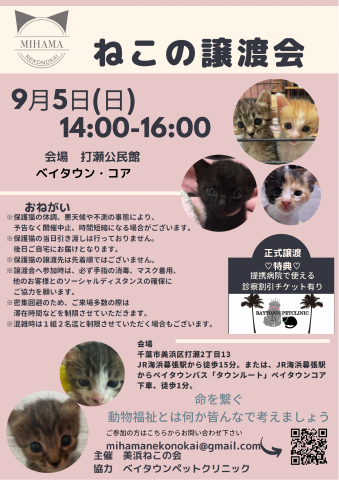 美浜ねこの会譲渡会@幕張　打瀬公民館