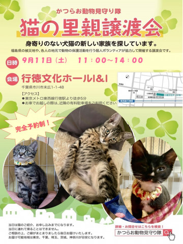 猫の里親譲渡会（当日受付あり)