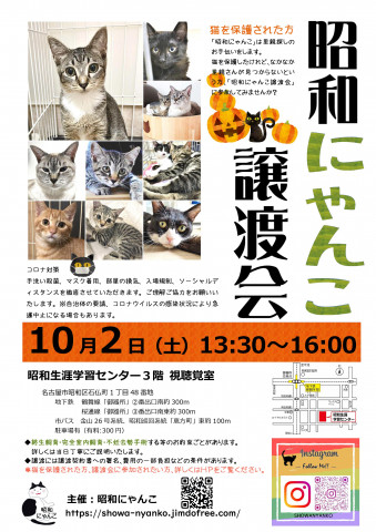 昭和にゃんこ譲渡会　in　名古屋市昭和区