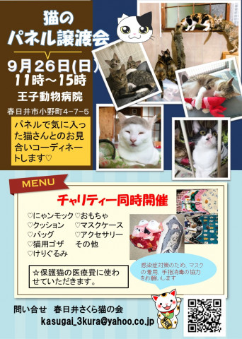 春日井さくら猫の会in小野町