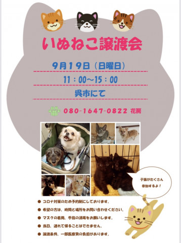 保護犬猫譲渡会