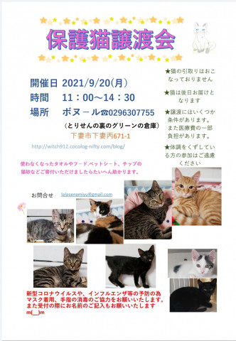 保護猫譲渡会　ボヌール9/20