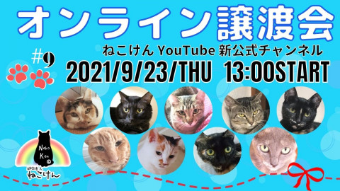 #9ねこけん★YouTubeLIVE譲渡会！